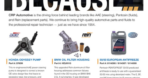 BECAUSE campaign flyer